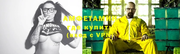 индика Алзамай
