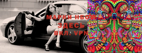 индика Алзамай