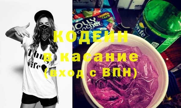 индика Алзамай