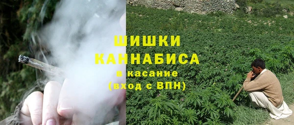 индика Алзамай