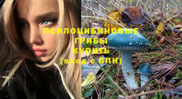 соль курить ск Алексин