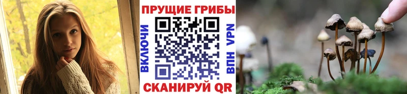 Галлюциногенные грибы Magic Shrooms  Новоузенск 